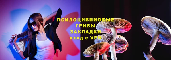 PSILOCYBIN Алексеевка