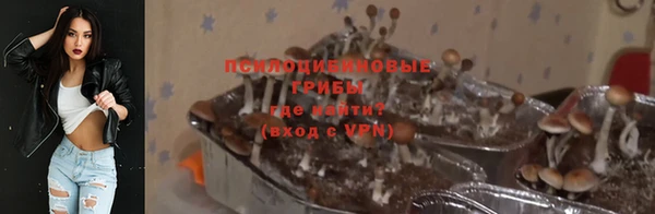 ГАЛЛЮЦИНОГЕННЫЕ ГРИБЫ Алексин