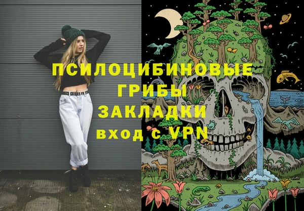 ГАЛЛЮЦИНОГЕННЫЕ ГРИБЫ Алексин