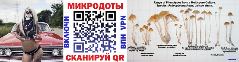 наркота  blacksprut ссылка  Галлюциногенные грибы MAGIC MUSHROOMS  Почеп 